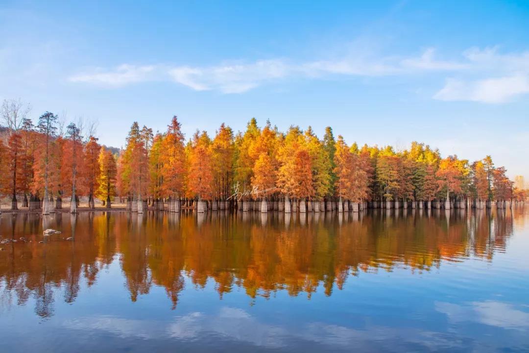 豪门国际官网-追求康健,你我一起生长