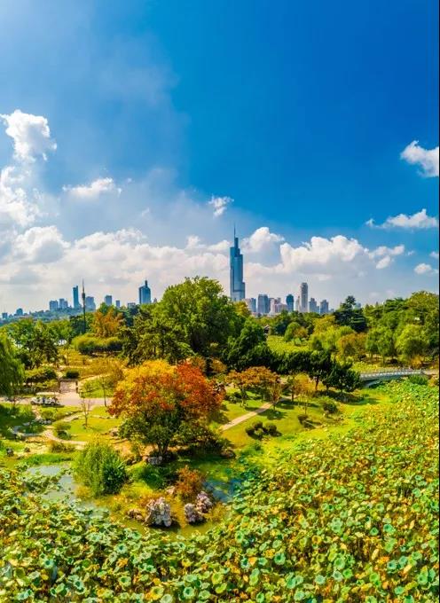 豪门国际官网-追求康健,你我一起生长