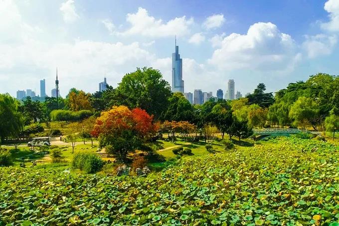 豪门国际官网-追求康健,你我一起生长