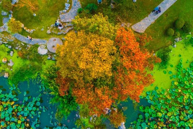 豪门国际官网-追求康健,你我一起生长