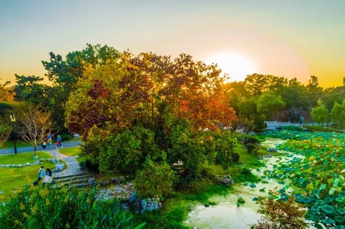 豪门国际官网-追求康健,你我一起生长