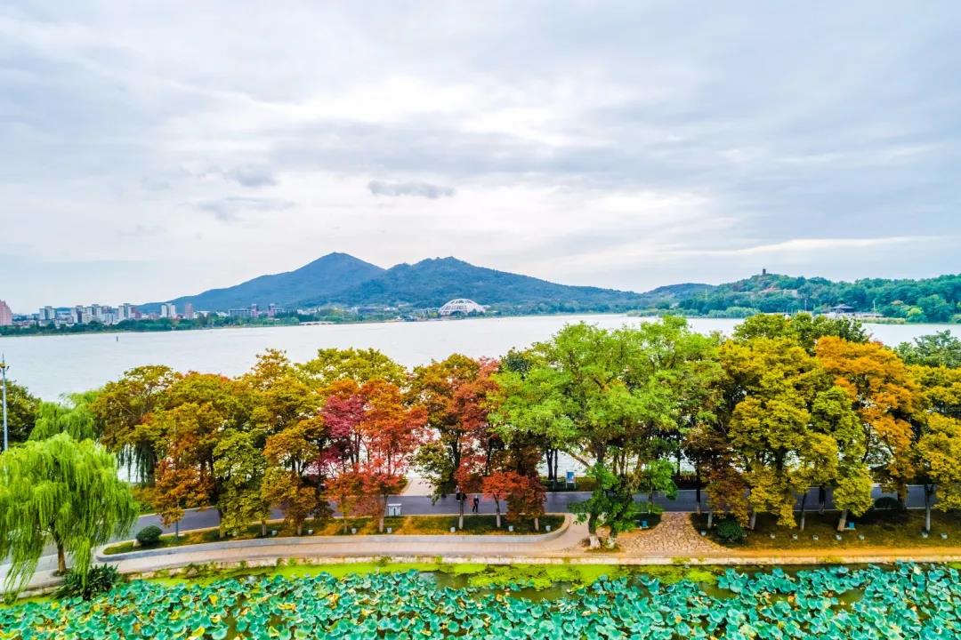 豪门国际官网-追求康健,你我一起生长