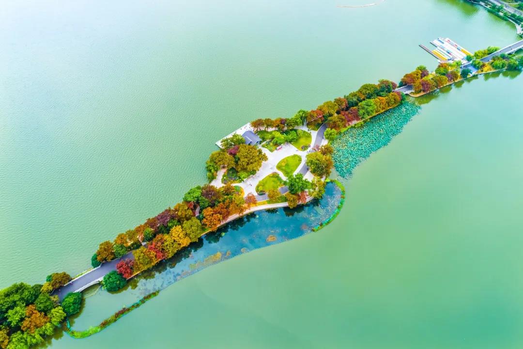 豪门国际官网-追求康健,你我一起生长