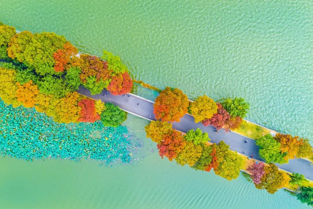 豪门国际官网-追求康健,你我一起生长