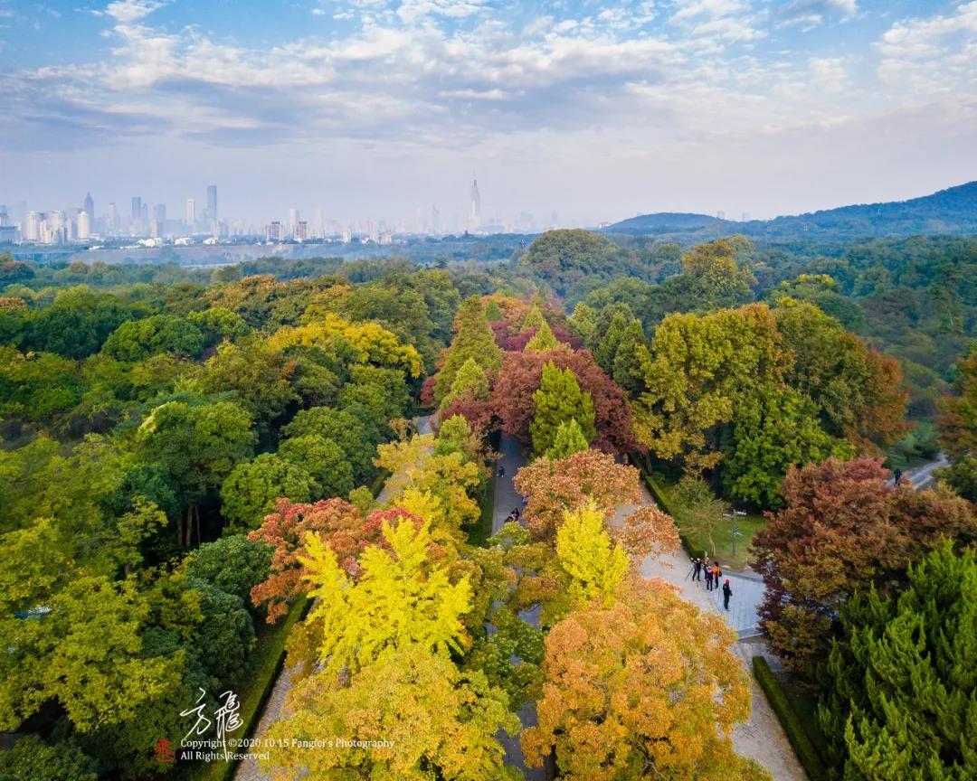豪门国际官网-追求康健,你我一起生长