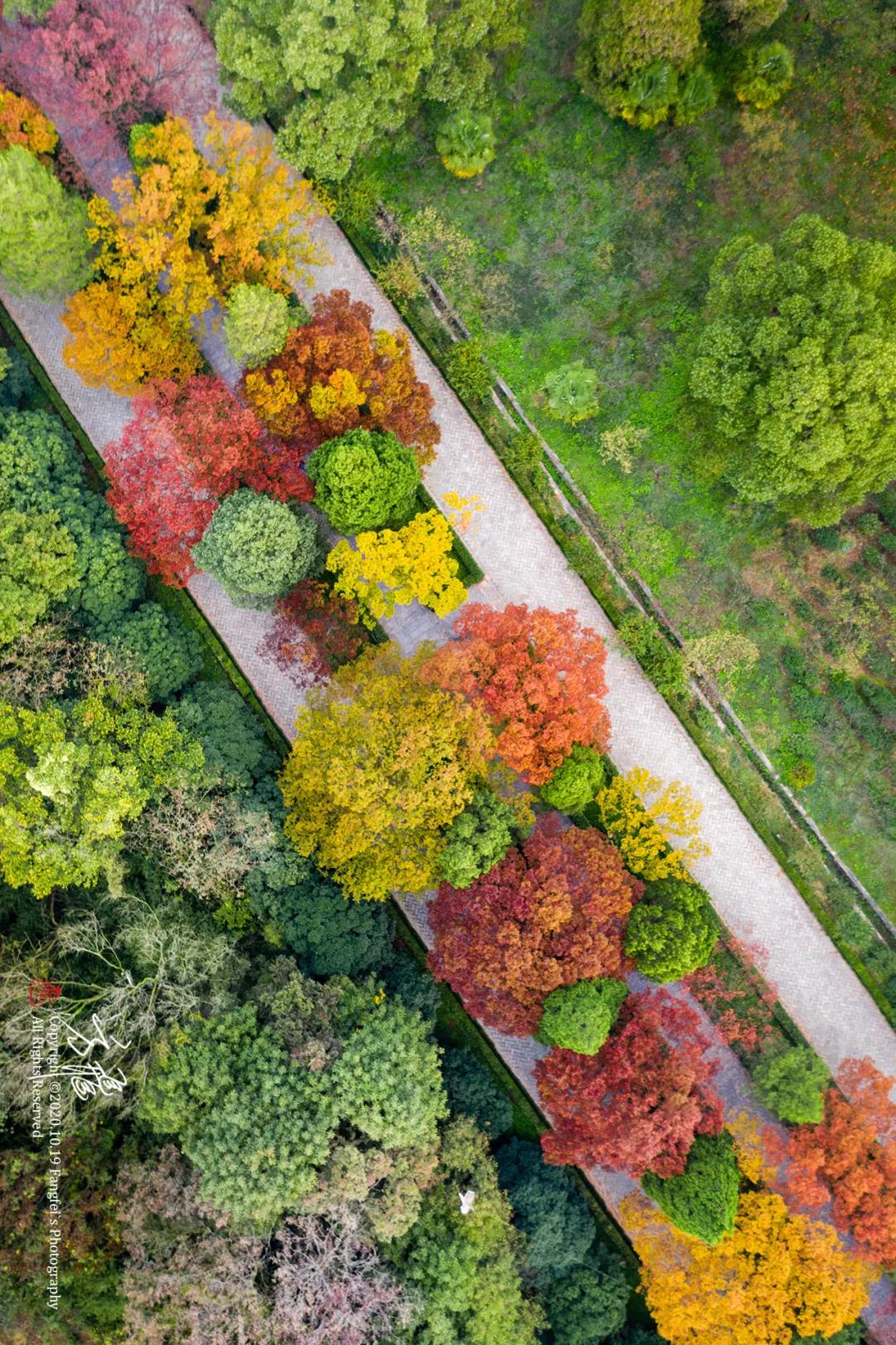 豪门国际官网-追求康健,你我一起生长