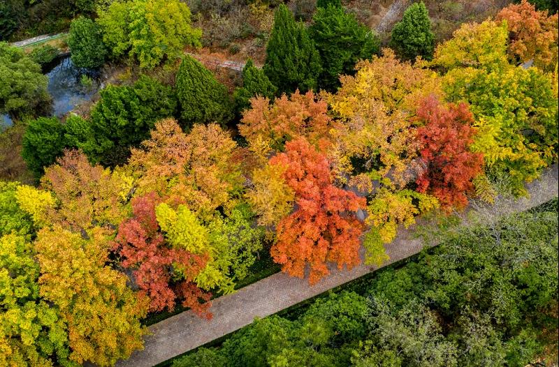 豪门国际官网-追求康健,你我一起生长