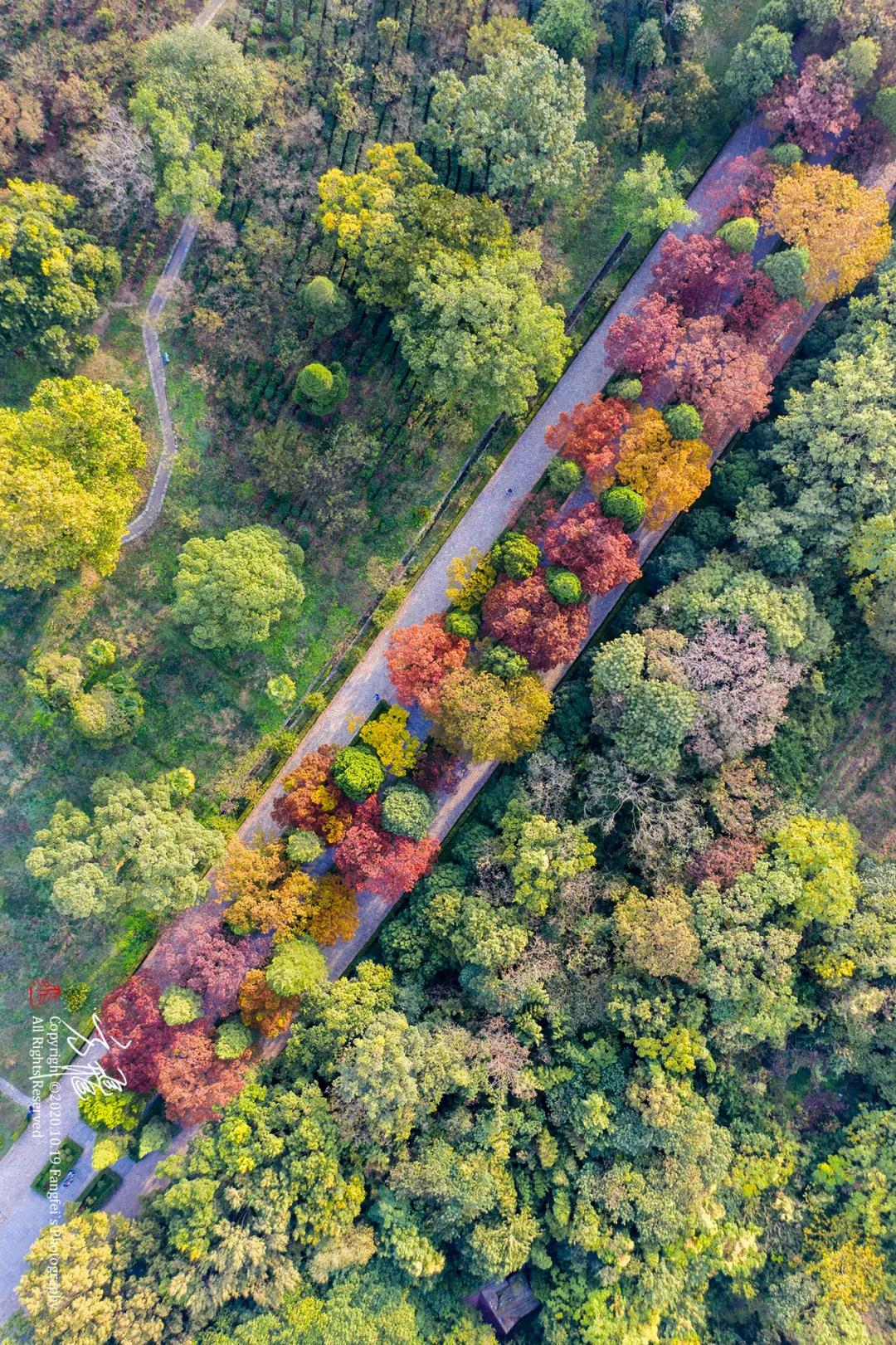 豪门国际官网-追求康健,你我一起生长