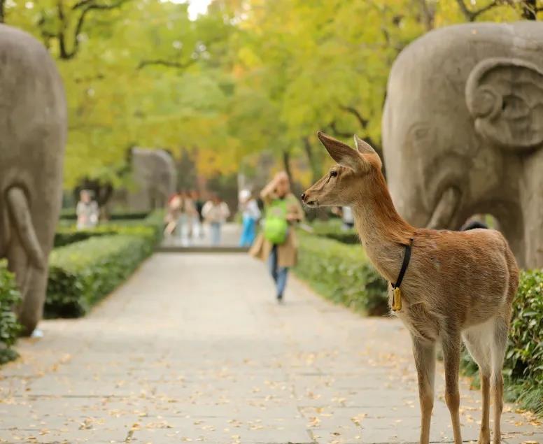 豪门国际官网-追求康健,你我一起生长