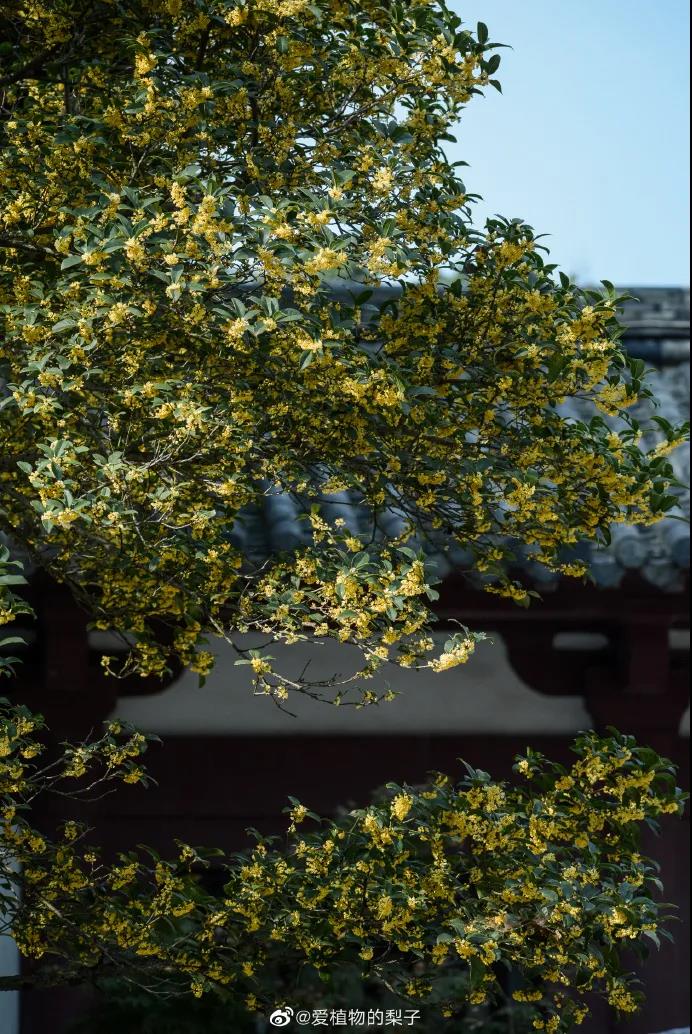 豪门国际官网-追求康健,你我一起生长