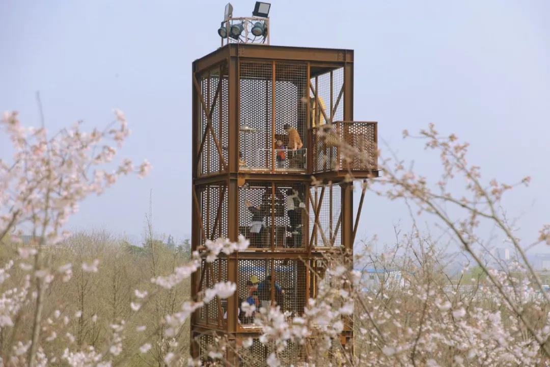 豪门国际官网-追求康健,你我一起生长