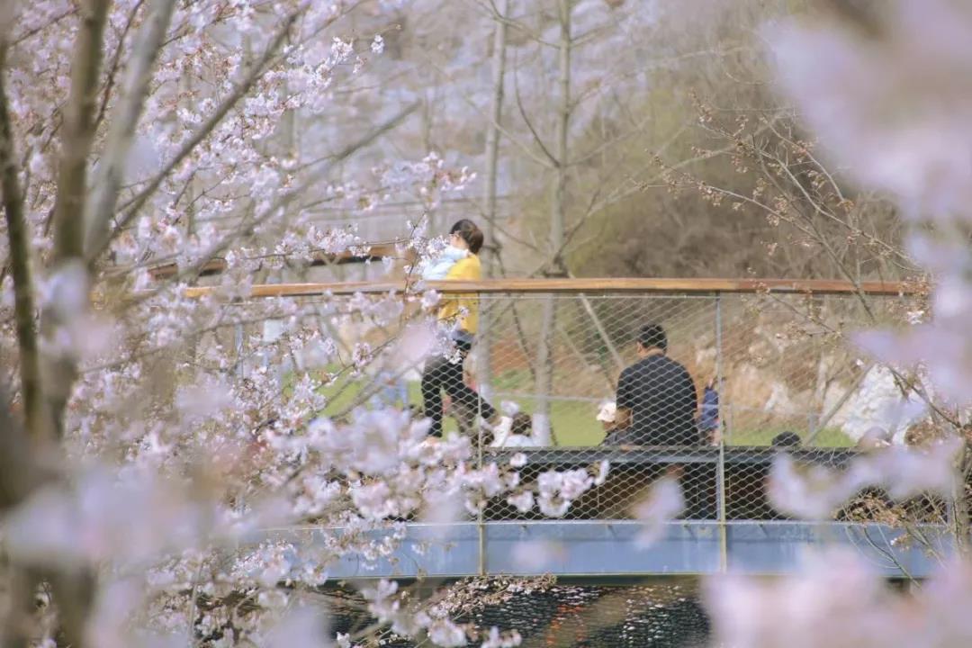 豪门国际官网-追求康健,你我一起生长