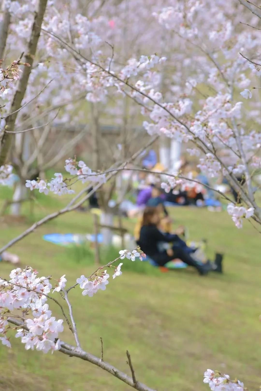 豪门国际官网-追求康健,你我一起生长
