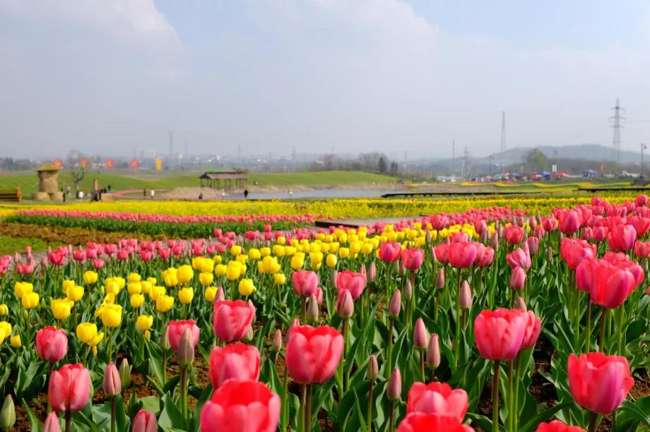 豪门国际官网-追求康健,你我一起生长