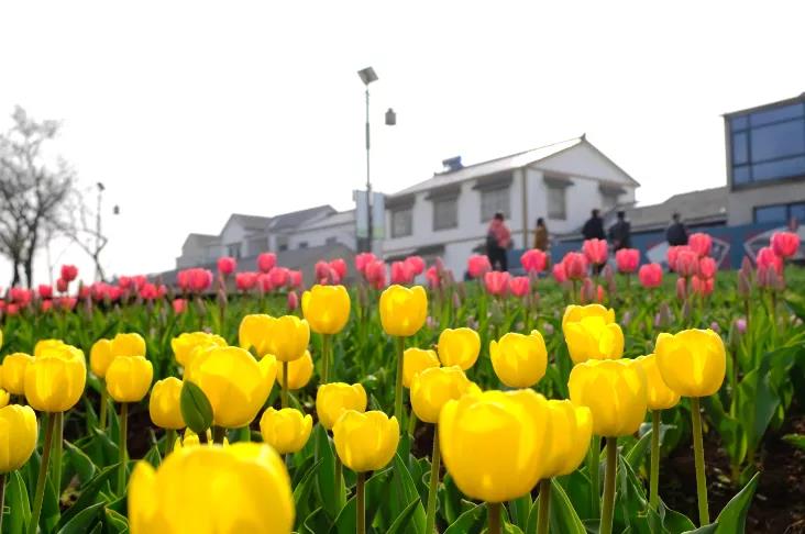 豪门国际官网-追求康健,你我一起生长