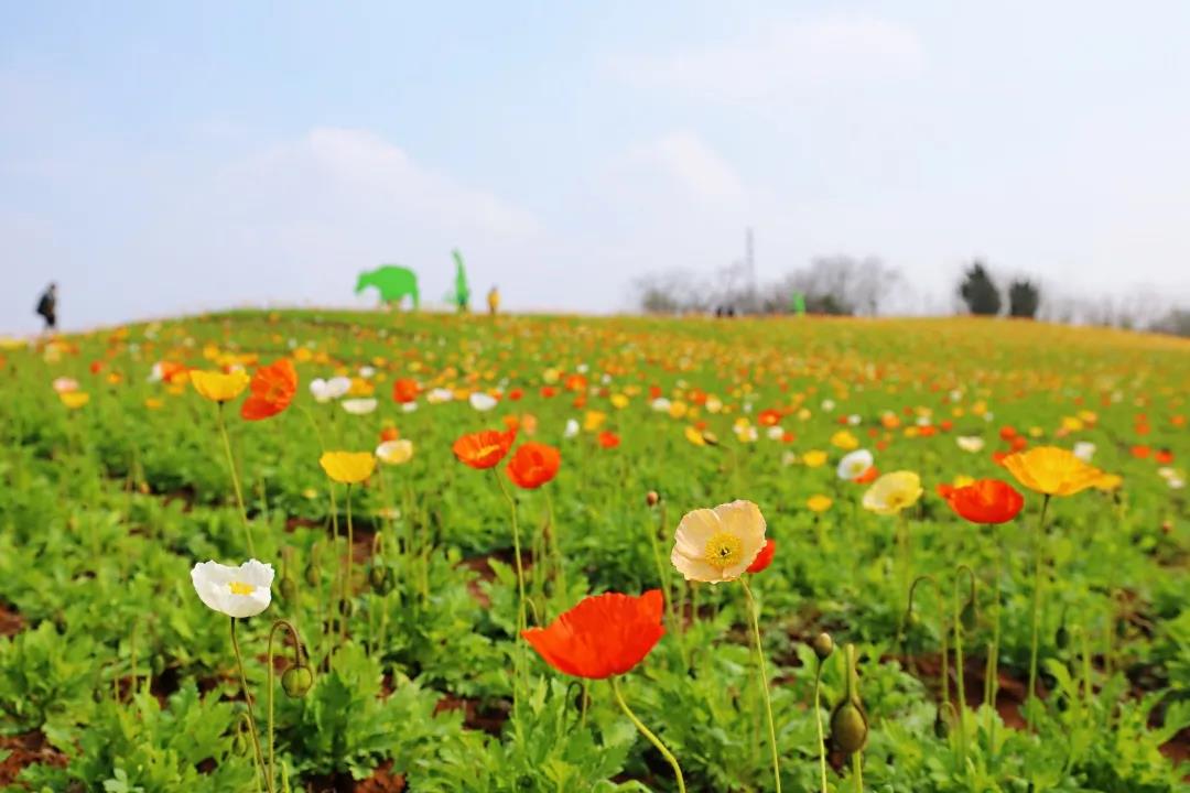 豪门国际官网-追求康健,你我一起生长