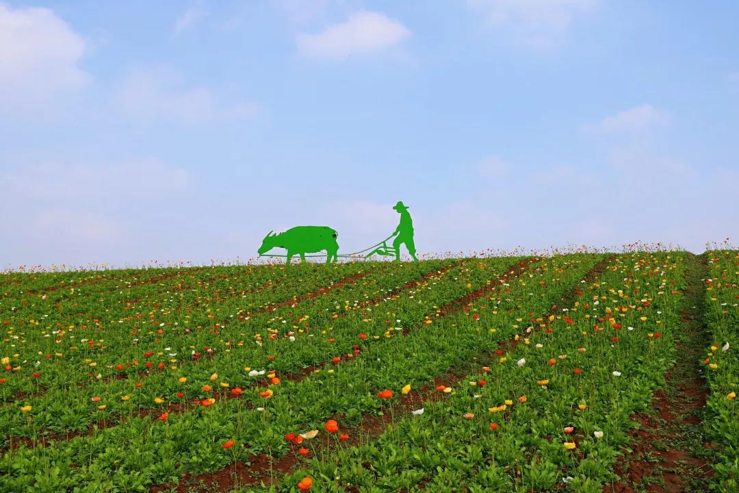 豪门国际官网-追求康健,你我一起生长