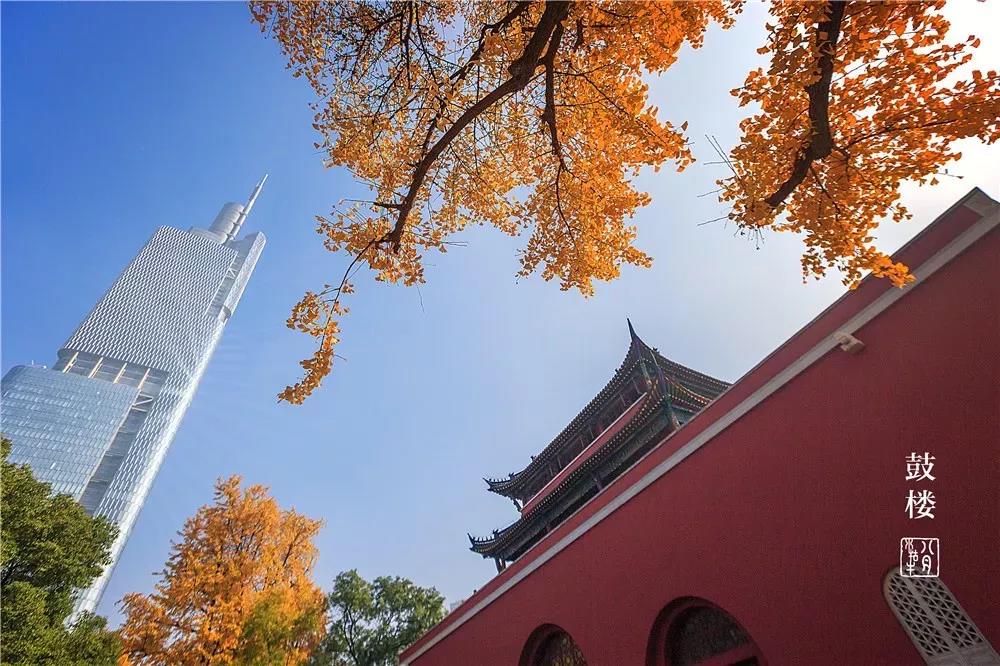 豪门国际官网-追求康健,你我一起生长