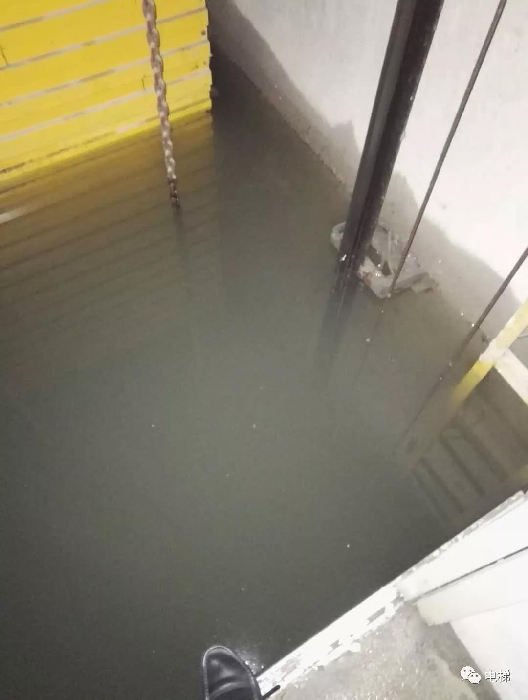 豪门国际官网-追求康健,你我一起生长