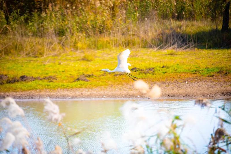 豪门国际官网-追求康健,你我一起生长