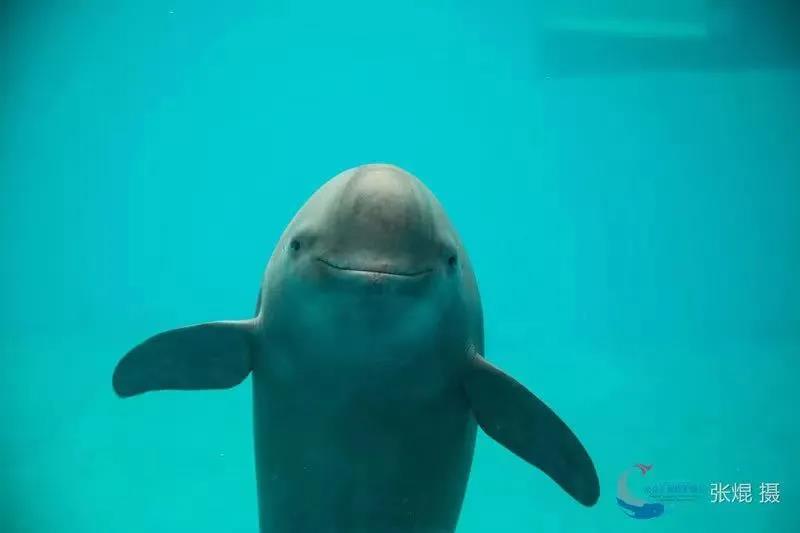 豪门国际官网-追求康健,你我一起生长