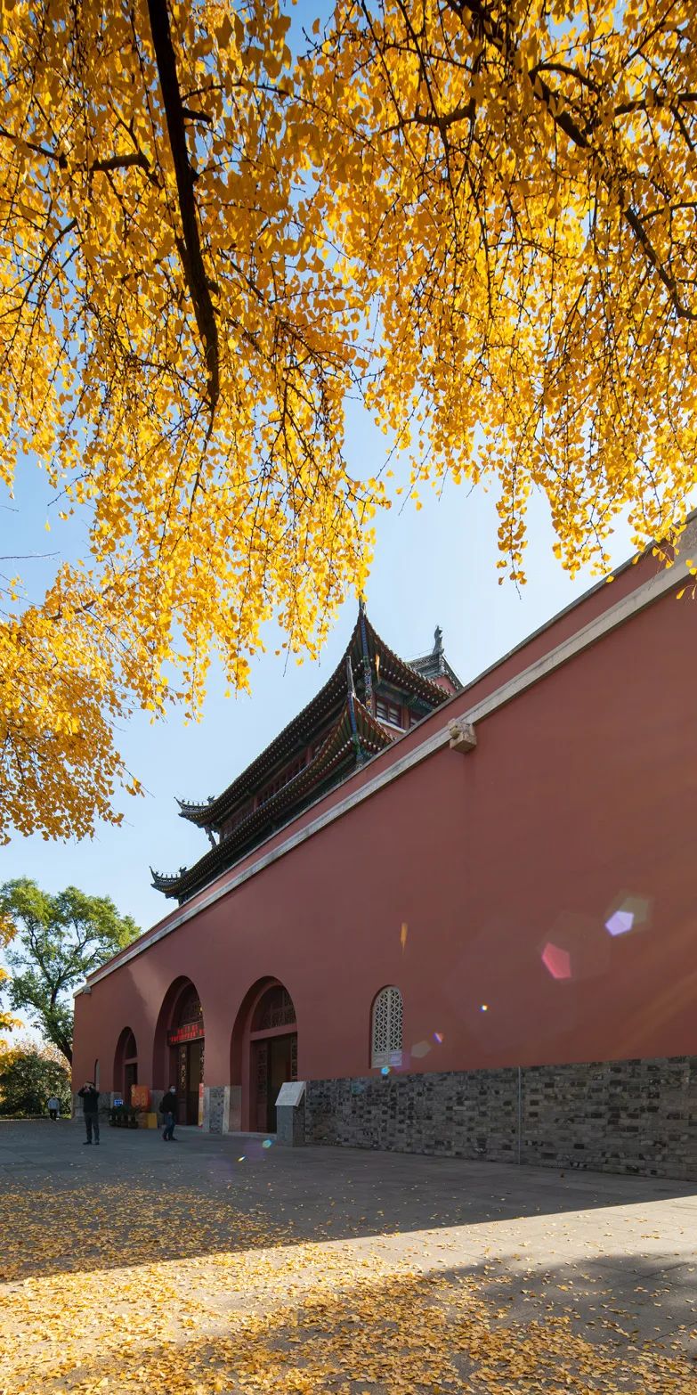 豪门国际官网-追求康健,你我一起生长